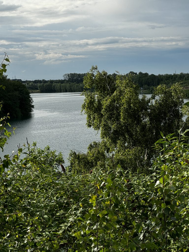 Eine friedliche Landschaft mit einem See, umgeben von grünen Bäumen und Sträuchern, unter einem bewölkten Himmel.