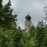 Der Turm von Schloss Callenberg mit einer schwarzen Zwiebelturmhaube und einer Uhr, umgeben von dichten grünen Bäumen, unter einem bewölkten Himmel.