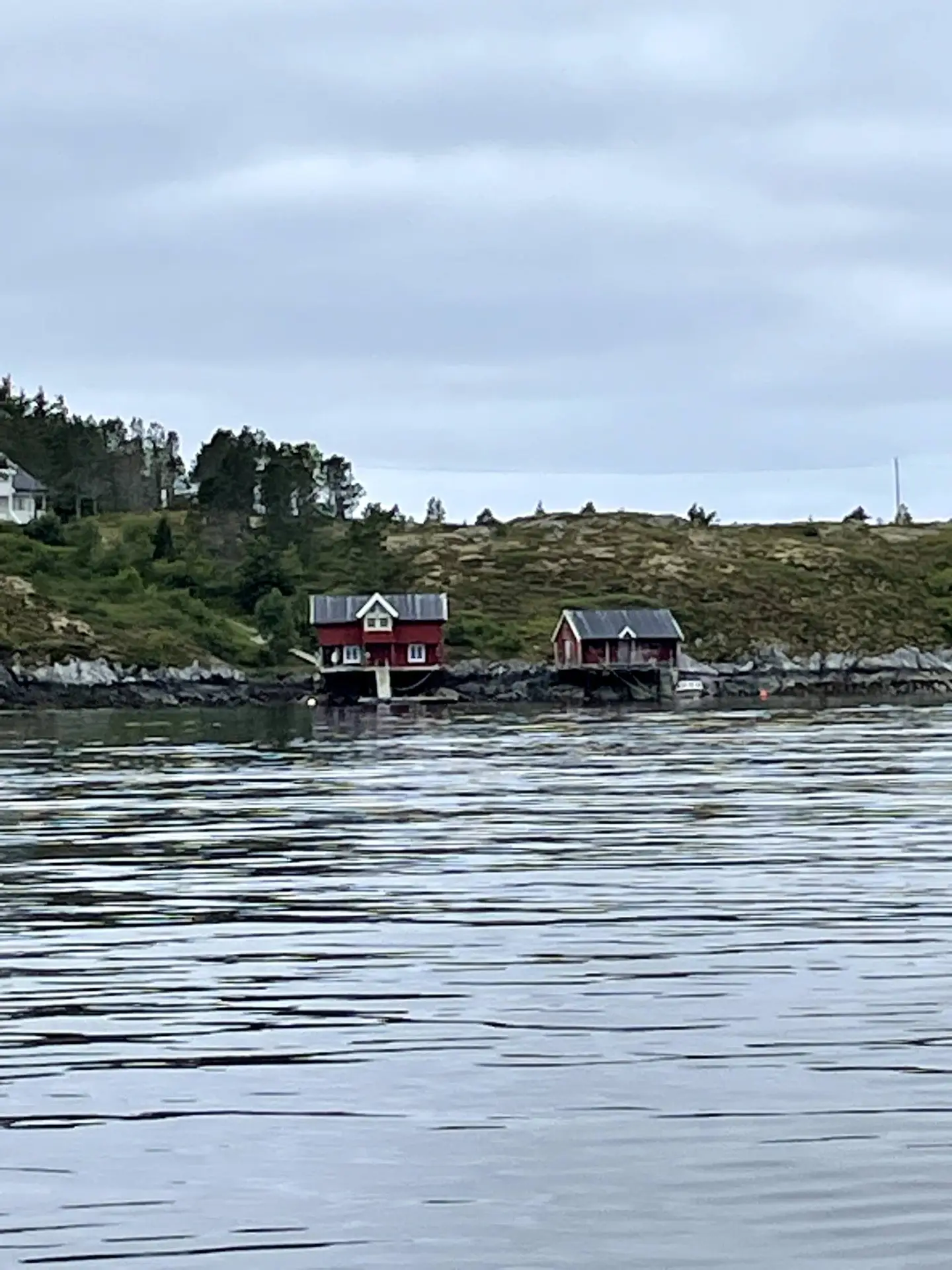 Bild zeigt eine ruhige Küstenansicht mit zwei traditionellen norwegischen roten Häusern, die direkt am Wasser gebaut sind. Die Häuser stehen auf einer felsigen Küstenlinie, umgeben von spärlicher Vegetation und einigen Bäumen. Das ruhige Meer im Vordergrund spiegelt leicht die grauen Wolken des bedeckten Himmels wider.